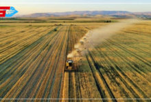 Revenues of billions of dollars .. Learn about Turkish agricultural wealth in 2021