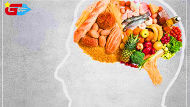 The most important and best 10 foods for the brain according to scientific studies